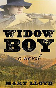 Widow Boy by Mary Lloyd