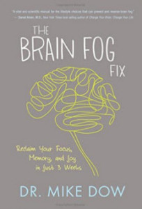 The Brain Fog fix