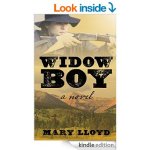 Widow Boy by Mary Lloyd